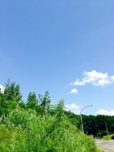 IMG_0405