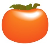imageCAPH16GN