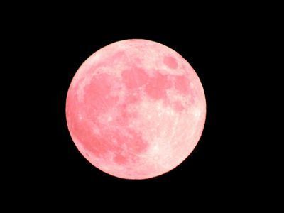 strawberrymoon4.jpg